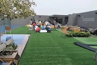 Multipurpose Lawn